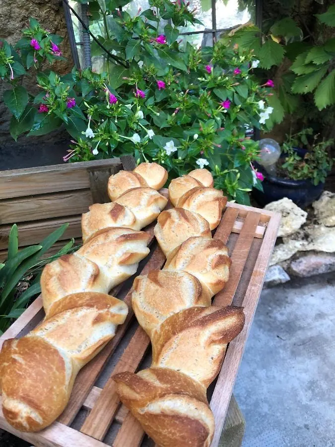 Maison Lou Roucas Cabrieres-d'Aigues Alojamento de Acomodação e Pequeno-almoço